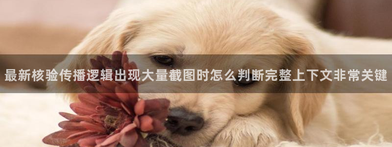 吃瓜今日事件