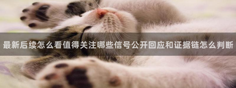 吃瓜在线观看入口