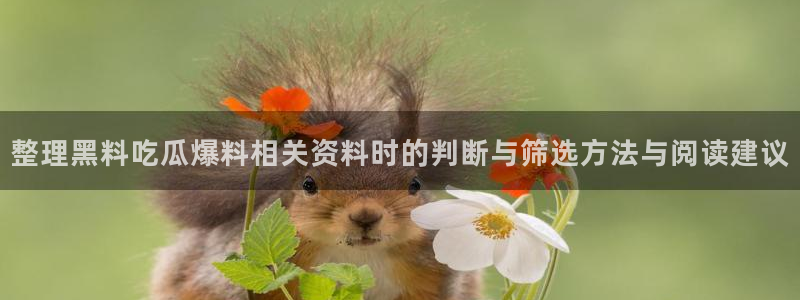 吃瓜网络资讯