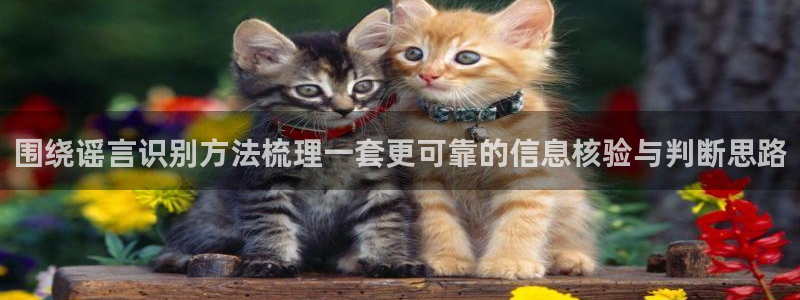 91吃瓜热点入口