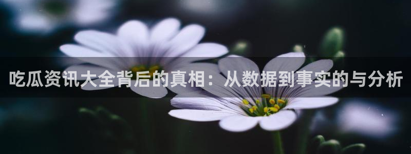 91吃瓜动态