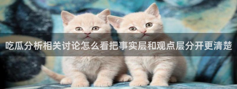 91吃瓜在线观看在线入口