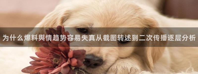91吃瓜今日热搜